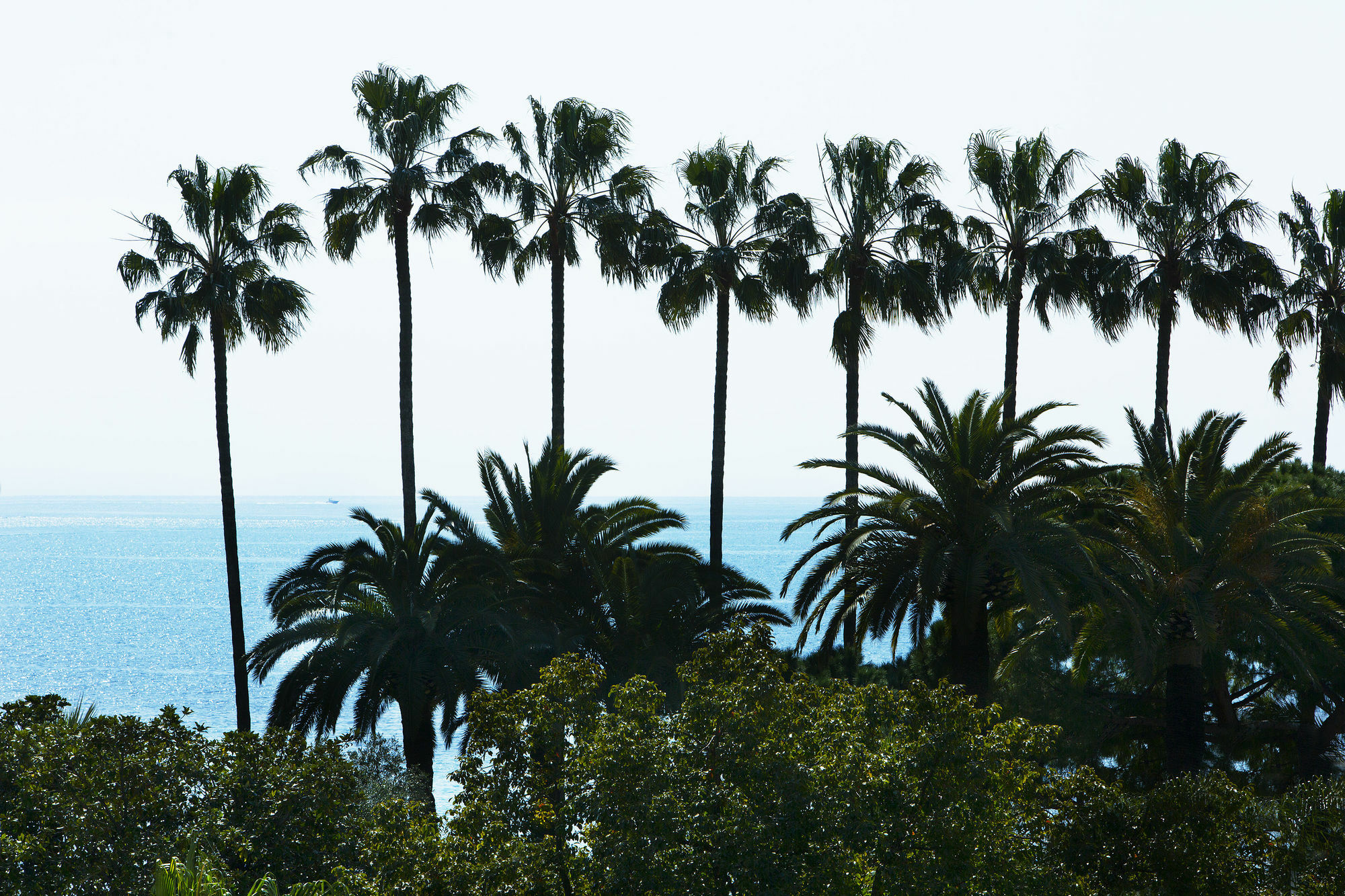 Villa D'Estelle Cannes Exteriör bild